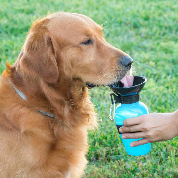 WaterBottle - Drickskål för hundar - - Vattenflaska - Camping Husdjur - Trenday
