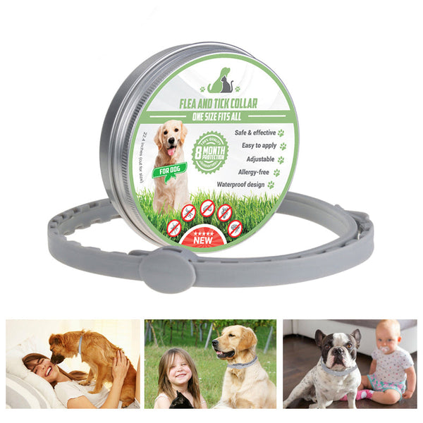 Pro Guard lopp- och fästkrage för hundar - - Pet Supplies - Trenday