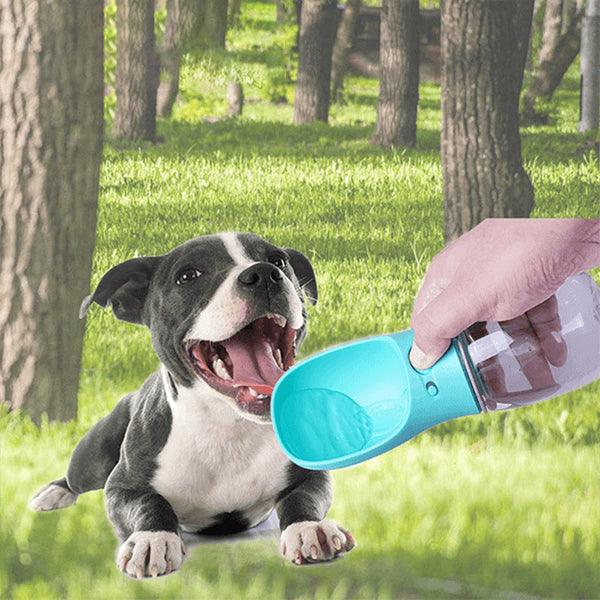 Hund Vattenflaska - - - Trenday
