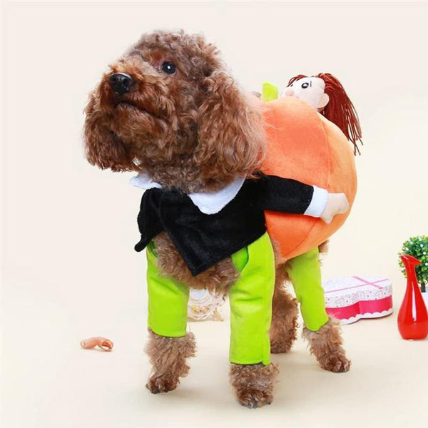 Husdjurs hund Pumpa Halloween -Dräkt - - - Trenday