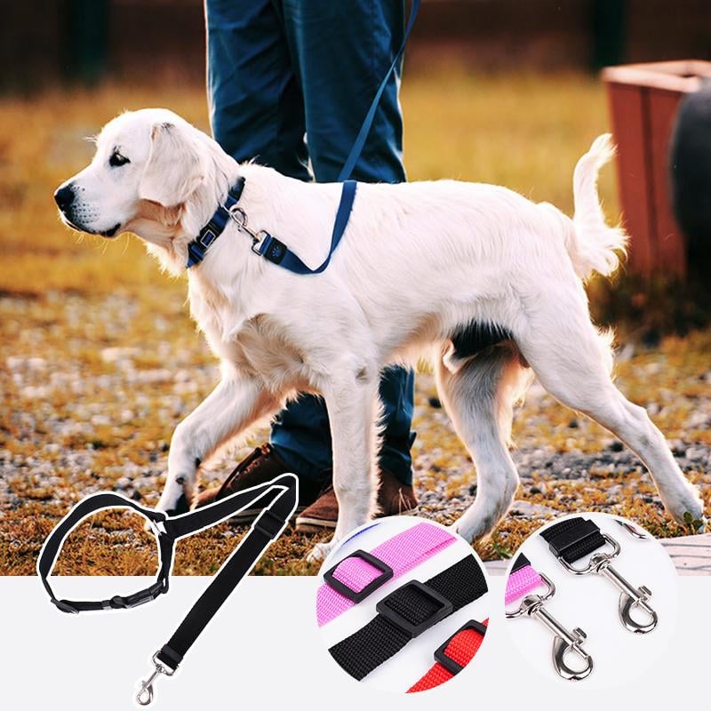 (1+1 GRATIS) FlexStrap™ | Justerbart hundkoppel för bil - - 1358 - dog leash new pet winter - Trenday