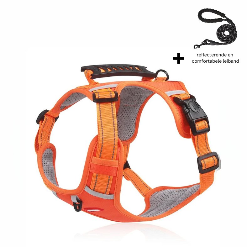 PawEase Anti-Stick hundbälte - Orange - - anti-stik halsband hond halsband hond hond cadeau honden new reflectieve halsband - Trenday