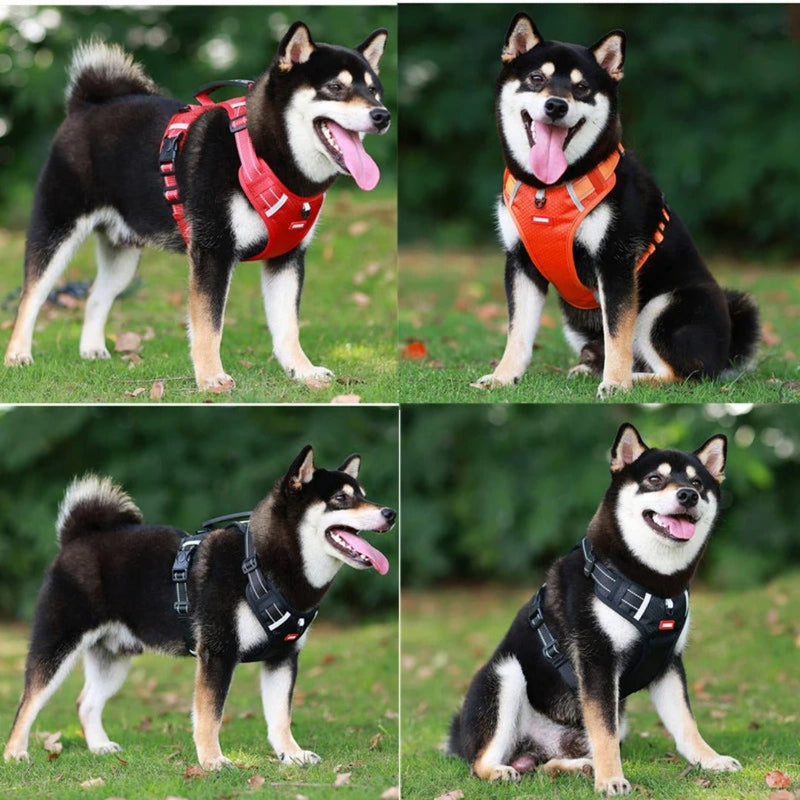 PawEase Anti-Stick hundbälte - - - anti-stik halsband hond halsband hond hond cadeau honden new reflectieve halsband - Trenday